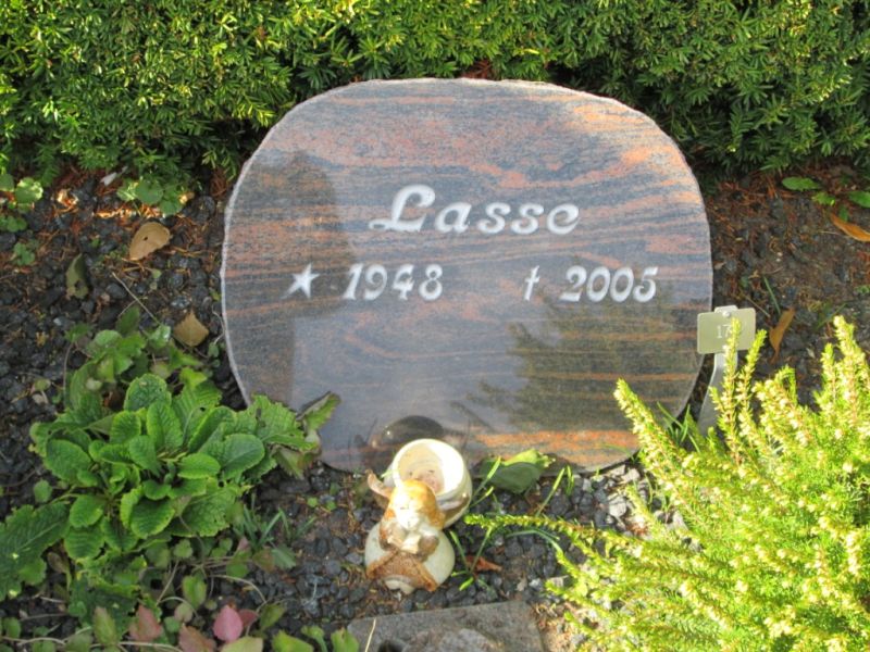 Lasse .JPG